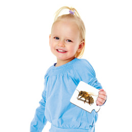 Puzzle Potriveste Primele Cuvinte - Eng