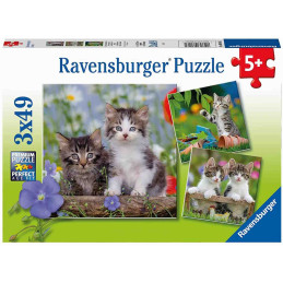 Puzzle Pisicute Tigrate, 3X49 Piese