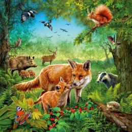 Puzzle Animalele Pamantului, 3X49 Piease