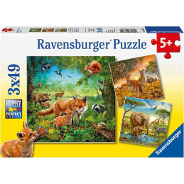 Puzzle Animalele Pamantului, 3X49 Piease