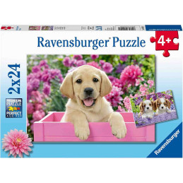 kidsmagicstore.ro|Puzzle Catelusi, 2X24 Piese63,42 lei57,08 leiRavensburgerNoutati4005556050291
