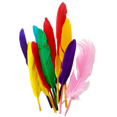kidsmagicstore.ro|ACCESORII CRAFT - AD758 MINI BRADUTI DACO11,05 lei9,94 leiDaco ArtHobby si creatie6425871043613