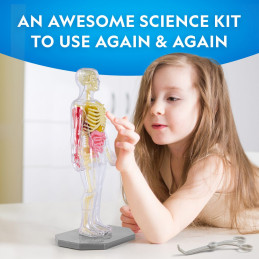kidsmagicstore.ro|National Geographic - Kit creativ stiinta corpului uman153,60 lei138,24 leiNational GeographicNoutati810070623050
