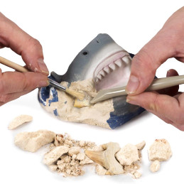 kidsmagicstore.ro|National Geographic - Kit Creativ Sa Cautam Dinti De Rechini76,49 lei68,84 leiJocuri si jucarii creative816448029660