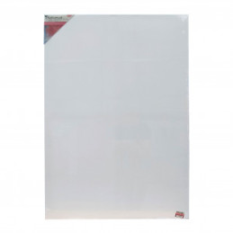 PANZA PICTURA PE SASIU 70X100 CM DACO PZ70100