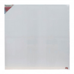 PANZA PICTURA PE SASIU 100X100 CM DACO PZ100100