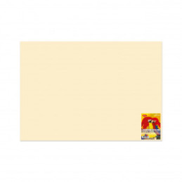 CARTON COLOR CN271C CREM 270G/MP 70X100 10 COLI DACO