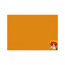 CARTON COLOR CN271P PORT. 270G/MP 70X100 10 COLI DACO