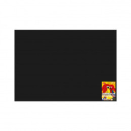 CARTON COLOR CN271N NEGRU 270G/MP 70X100 10 COLI DACO