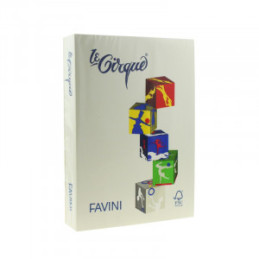 HARTIE COLORATA 80G/MP A4 109 GRI FAVINI A71U504