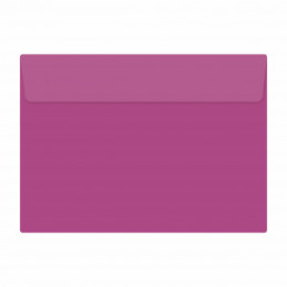PLIC 13X18 COLOR SILICONIC DACO PC13L