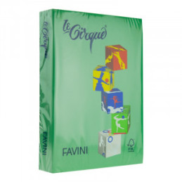 HARTIE COLORATA 80G/MP A4 207 VERDE PADURE FAVINI A718504