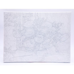 PANZA PICTURA PE NUMERE 30X40CM DACO PZN3040-4