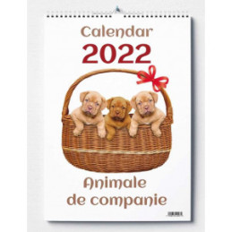 CALENDAR PERETE 2025 ANIMALE DE COMPANIE