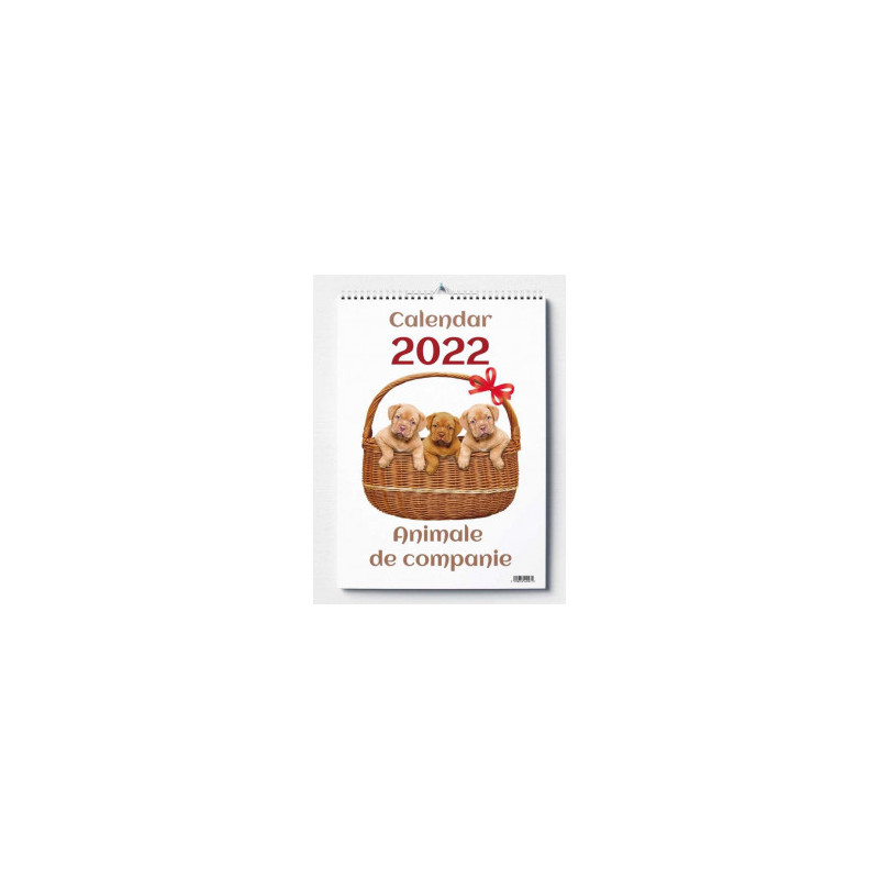kidsmagicstore.ro|CALENDAR PERETE 2025 ANIMALE DE COMPANIE16,42 lei14,78 leiNoutati