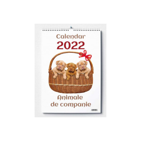 kidsmagicstore.ro|CALENDAR PERETE 2025 ANIMALE DE COMPANIE16,42 lei14,78 leiNoutati