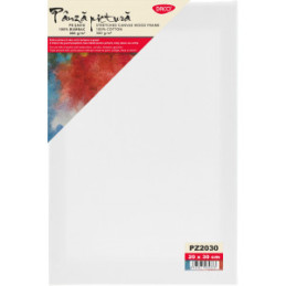 PANZA PICTURA PE SASIU 20X30CM DACO PZ2030