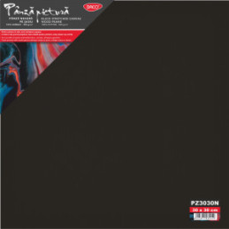 PANZA PICTURA NEAGRA PE SASIU 30X30CM DACO PZ3030N