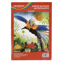 Hartie glasata Colorarte, 210x290 mm, 170g/mp, autocolant, set 8 culori
