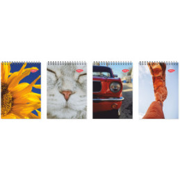 BLOC NOTES A6 SPIRA 80 FILE DACO BN680DR