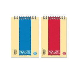 Blocnotes A6 Pigna Styl, 60 file, matematica, cu spira