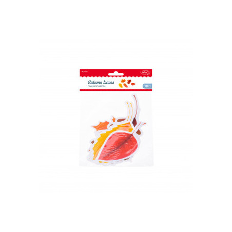 kidsmagicstore.ro|ACCESORII CRAFT - AD480 FRUNZELE TOAMNEI DACO7,69 lei6,92 leiNoutati