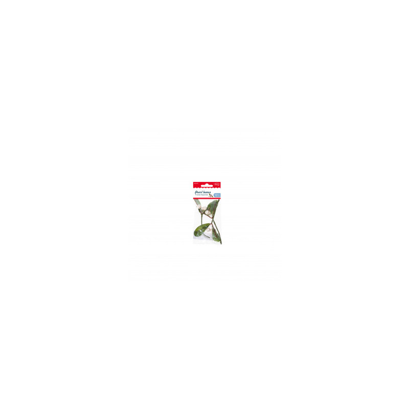 kidsmagicstore.ro|ACCESORII CRAFT - AD470 FRUNZE IMPERLATE DACO10,09 lei9,08 leiNoutati kidsmagicstore.ro|ACCESORII CRAFT - AD470 FRUNZE IMPERLATE DACO10,09 lei9,08 leiNoutati