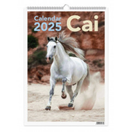 CALENDAR PERETE 2025 CAI