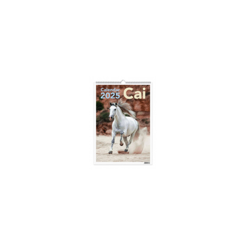 kidsmagicstore.ro|CALENDAR PERETE 2025 CAI16,42 lei14,78 leiNoutati kidsmagicstore.ro|CALENDAR PERETE 2025 CAI16,42 lei14,78 leiNoutati