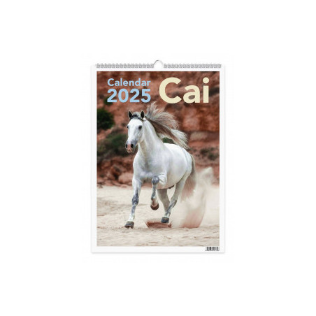 kidsmagicstore.ro|CALENDAR PERETE 2025 CAI16,42 lei14,78 leiNoutati