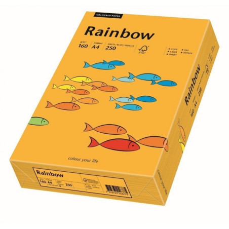 kidsmagicstore.ro|Carton colorat A4 Rainbow 88042461, 160g/mp, portocaliu intens, top 250 coli80,25 lei72,23 leiFara stoc7318761037764