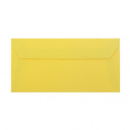 PLIC DL COLOR SILICONIC DACO PC12G GALBEN