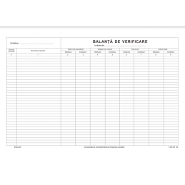 Tipizat - balanta verificare - A3, landscape, simplu