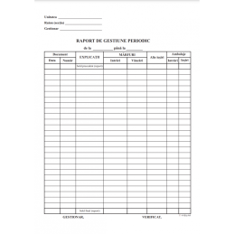 Tipizat - raport gestiune periodic - A4, portret, simplu, carnet 100 file