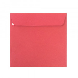 PLIC 14X14 CM PATRAT COLOR SILICONIC DACO PC1414RC