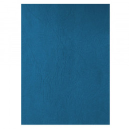 COPERTA CARTON IMITATIE PIELE ECADA 41401A