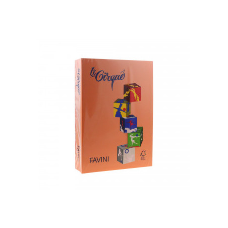 CARTON COLOR 160G/MP A4 205 PORTOCALIU FAVINI