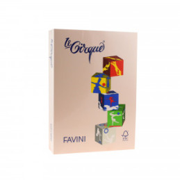 CARTON COLOR 160G/MP A4 103 SEPIA FAVINI
