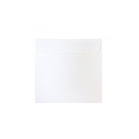 PLIC 16X16 CM PATRAT COLOR SILICONIC DACO PC1616W