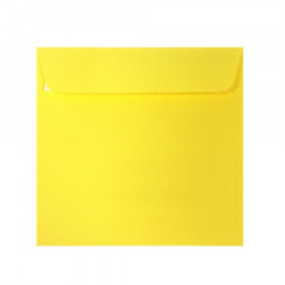 PLIC 16X16 CM PATRAT COLOR SILICONIC DACO PC1616G
