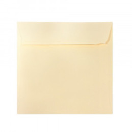 PLIC 16X16 CM PATRAT COLOR SILICONIC DACO PC1616C