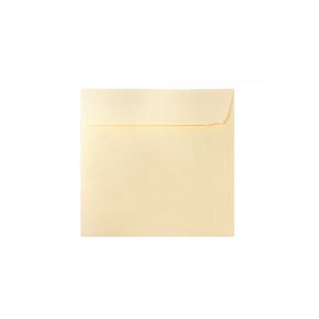 PLIC 16X16 CM PATRAT COLOR SILICONIC DACO PC1616C