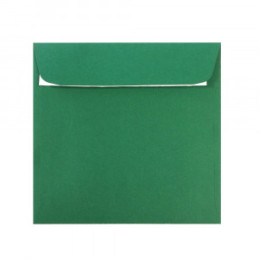 PLIC 16X16 CM PATRAT COLOR SILICONIC DACO PC1616VP
