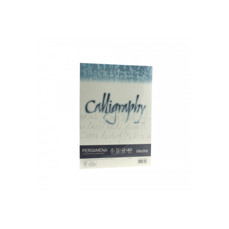 HARTIE CALIGRAFICA 90G/MP A4 50COLI NATUR FAVINI PERGAMENA A69Q204