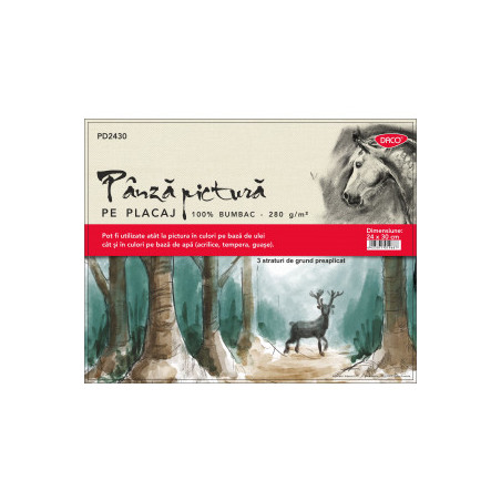 PANZA PICTURA PE CARTON 24X30CM DACO PD2430