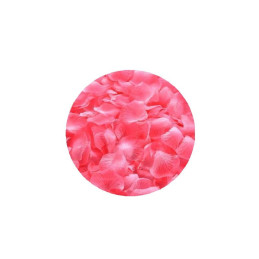 Foliage trandafir, corai, petale, punga 6g, Colorarte