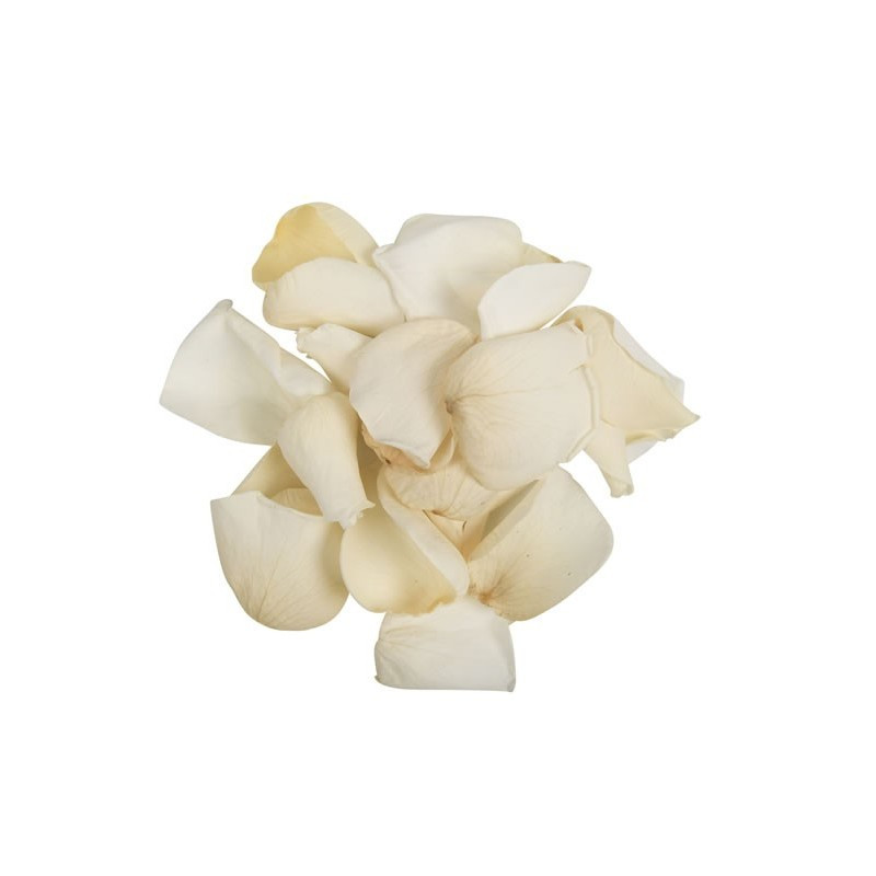 Foliage trandafir, crem, petale, punga 6g, Colorarte Foliage trandafir, crem, petale, punga 6g, Colorarte