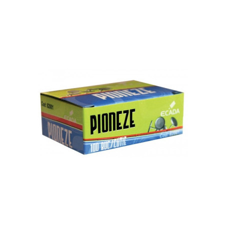 kidsmagicstore.ro|PIONEZE NICHEL 100/CUT ECADA 820012,84 lei2,55 leiNoutati