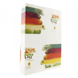 CARTON 160G/MP A4 ALB