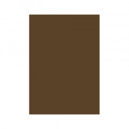 CARTON COLOR 160G/MP A4 MARO INCHIS